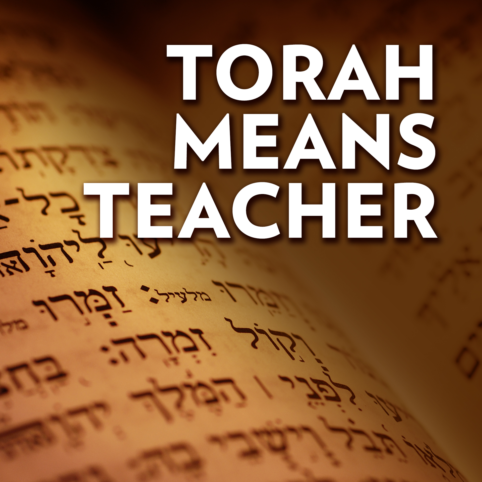 What The Torah Teaches Us About Life / Through The Themes Of ... by Laura Weakley