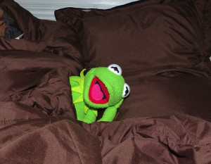 kermit bed